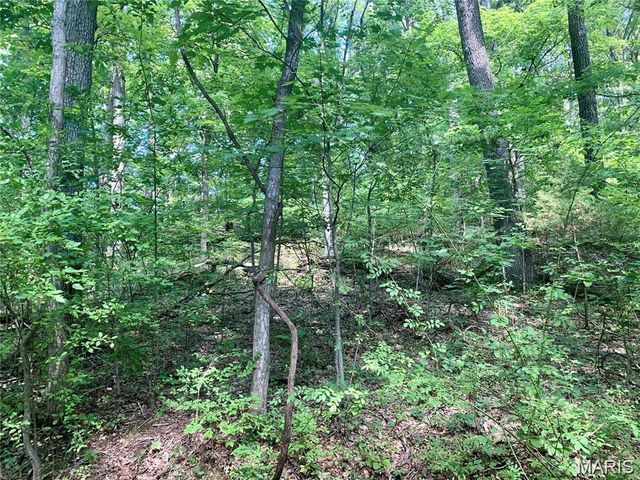 Lot 3 Dogwood Acres, Imperial, MO 63052