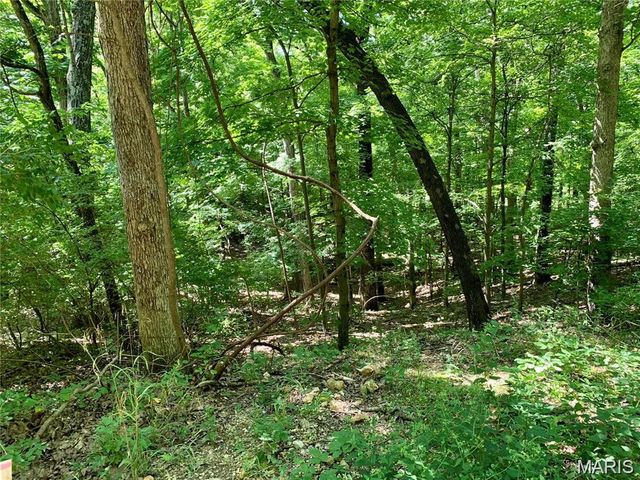 Lot 3 Dogwood Acres, Imperial, MO 63052