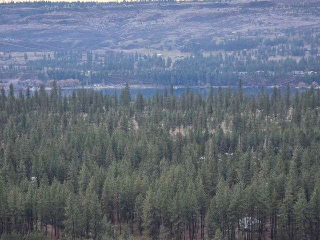 XX Pine Ridge Way, Nine Mile Falls, WA 99026