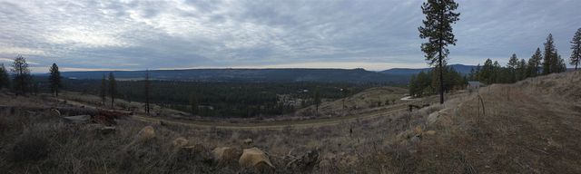 XX Pine Ridge Way, Nine Mile Falls, WA 99026