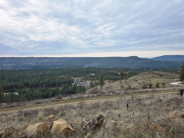 XX Pine Ridge Way, Nine Mile Falls, WA 99026