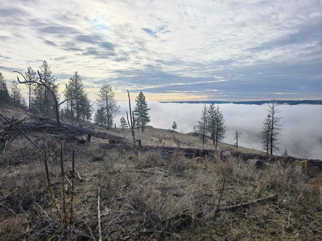 XX Pine Ridge Way, Nine Mile Falls, WA 99026