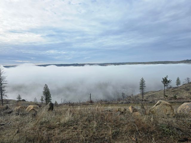 XX Pine Ridge Way, Nine Mile Falls, WA 99026