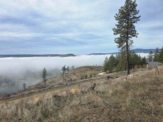 XX Pine Ridge Way, Nine Mile Falls, WA 99026