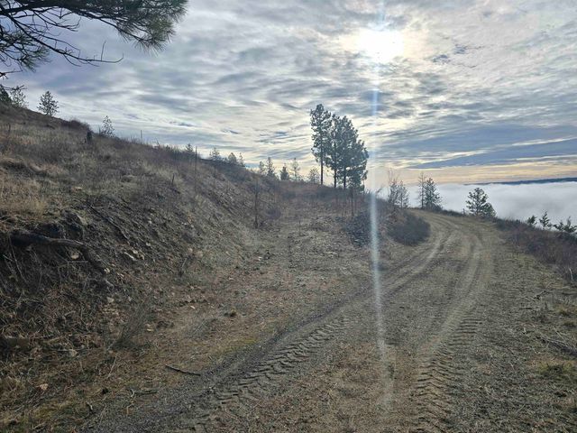 XX Pine Ridge Way, Nine Mile Falls, WA 99026