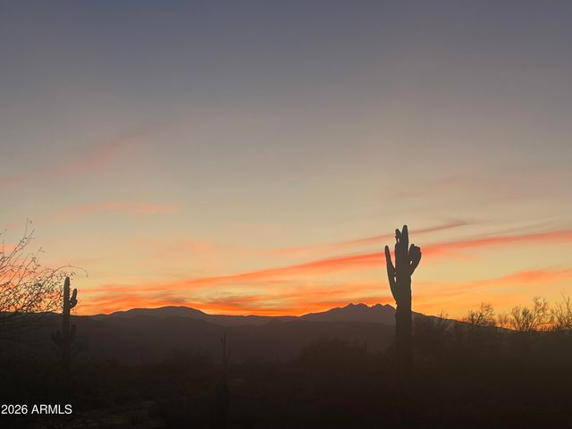 29317 N 164TH Street, Scottsdale, AZ 85262