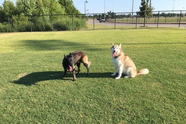 1420 Bull Street, Aubrey, TX 76227