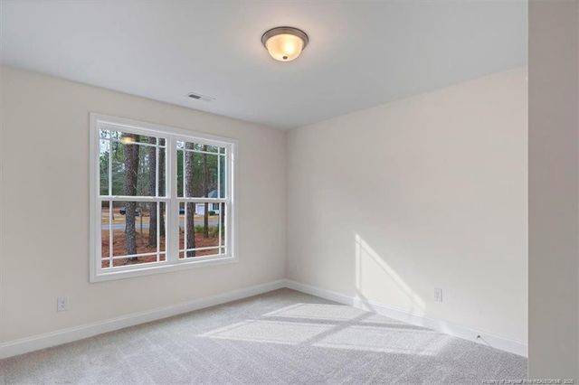 30121 Deercroft Drive, Wagram, NC 28396