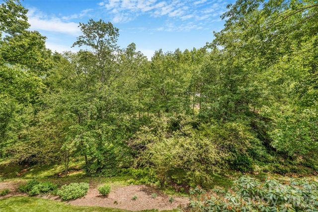 50 Meadow Village Lane, Asheville, NC 28803
