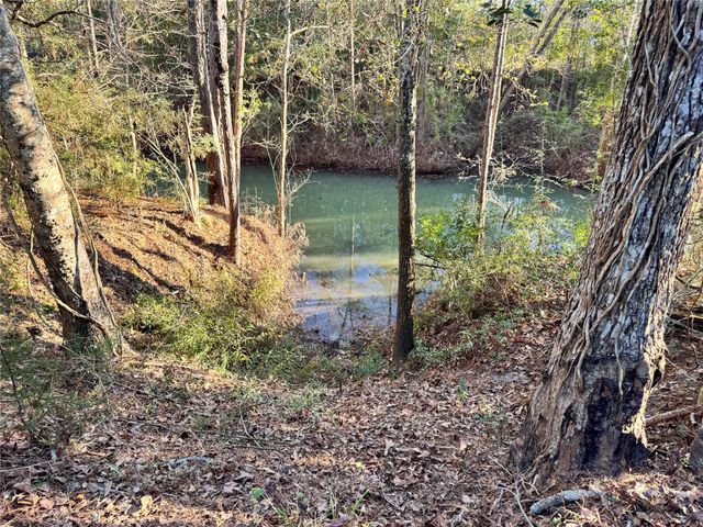 Lot 98 Barbil Lane, Houston, TX 77336