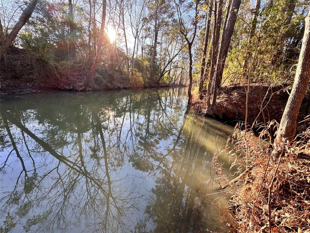 Lot 98 Barbil Lane, Houston, TX 77336