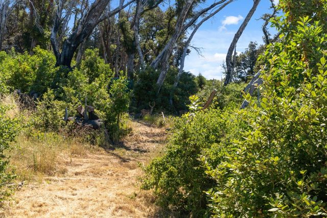 10520 Empire Grade, Santa Cruz, CA 95060