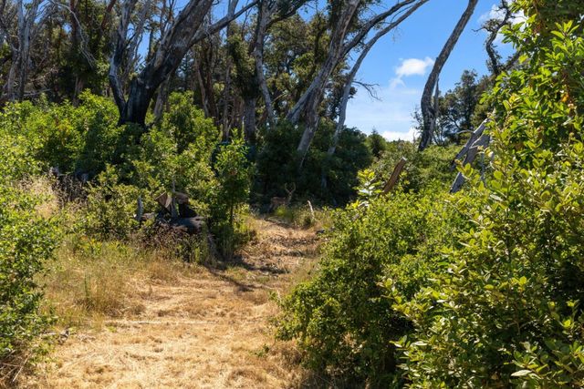 10520 Empire Grade, Santa Cruz, CA 95060