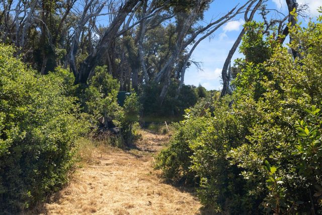 10520 Empire Grade, Santa Cruz, CA 95060