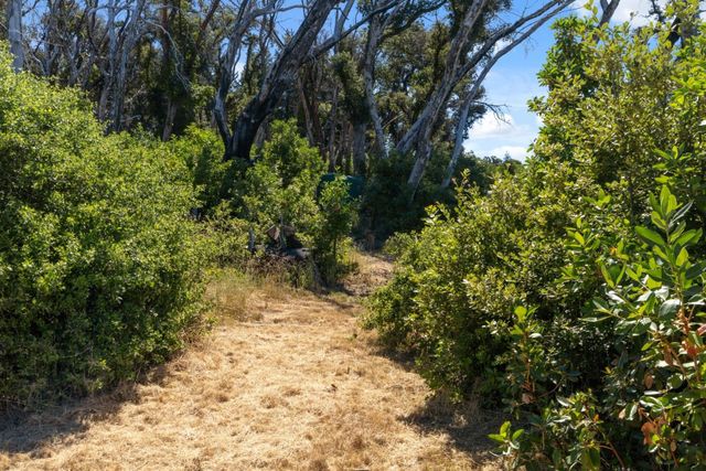 10520 Empire Grade, Santa Cruz, CA 95060