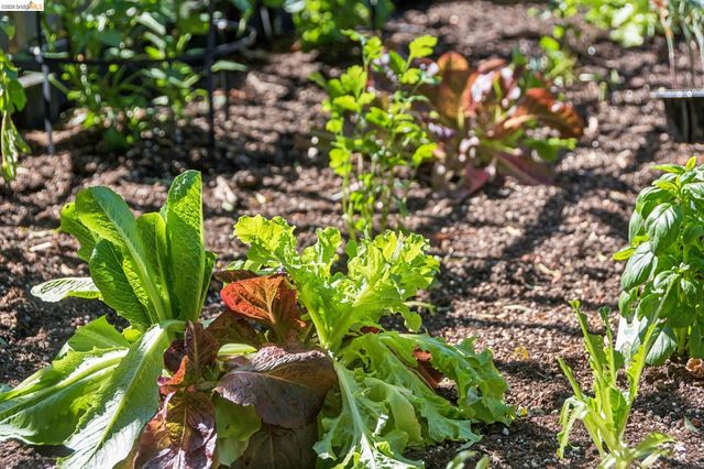 6004 Orchard Ave, Richmond, CA 94804