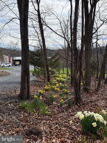 55 FAIRFAX CORNER RD, Cabins, WV 26855