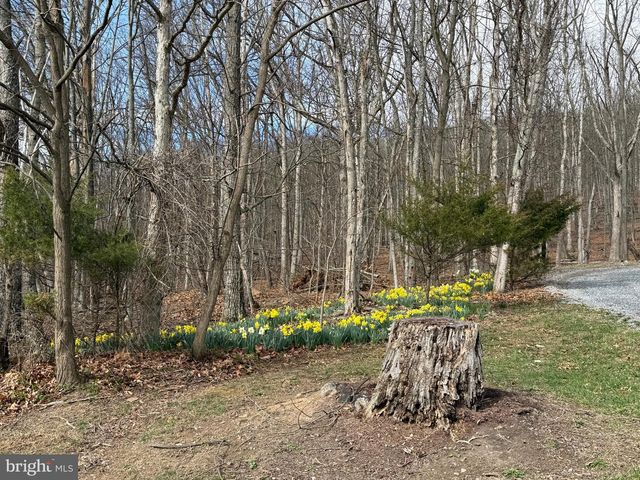 55 FAIRFAX CORNER RD, Cabins, WV 26855