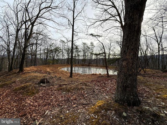 55 FAIRFAX CORNER RD, Cabins, WV 26855