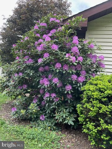 55 FAIRFAX CORNER RD, Cabins, WV 26855