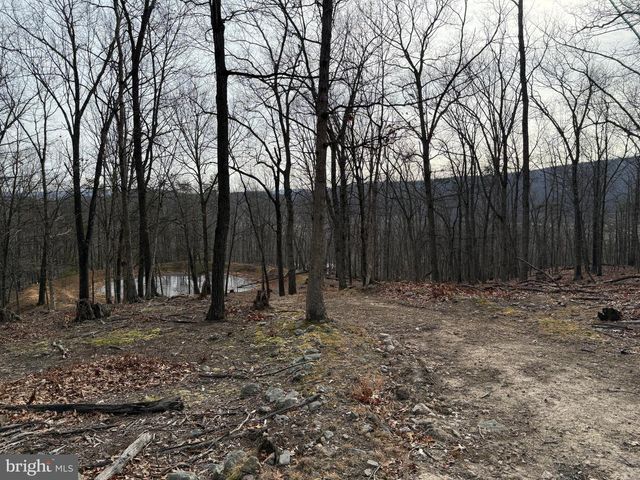 55 FAIRFAX CORNER RD, Cabins, WV 26855