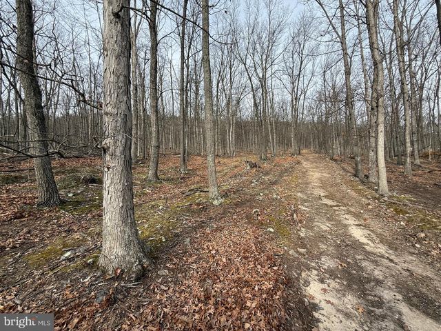 55 FAIRFAX CORNER RD, Cabins, WV 26855