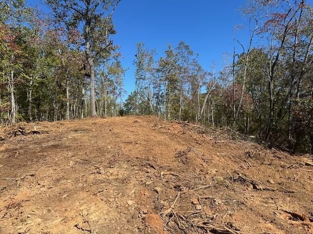 3.71 Yancy Drive, Dawsonville, GA 30534