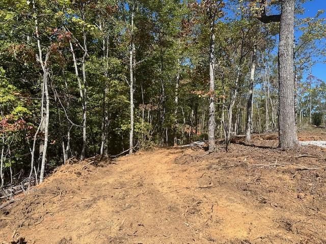 3.71 Yancy Drive, Dawsonville, GA 30534