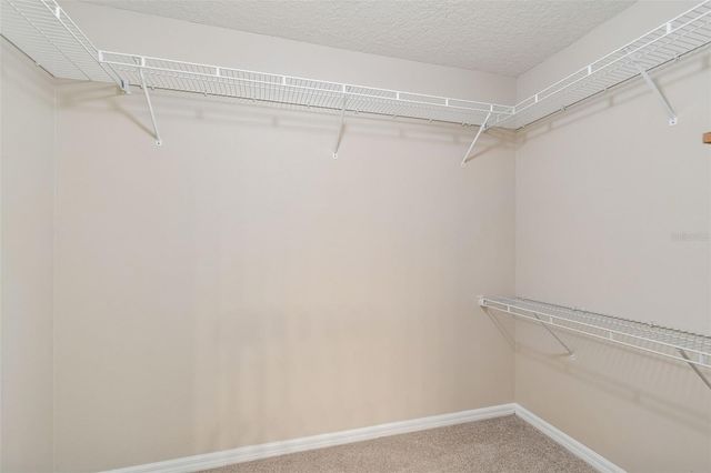 1744 MAPLELEAF BOULEVARD, Oldsmar, FL 34677