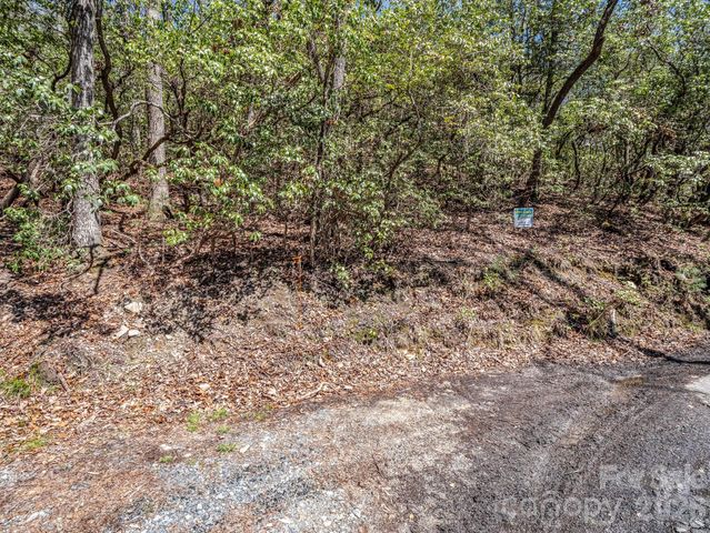 999 Bulling Creek Drive, Hendersonville, NC 28739