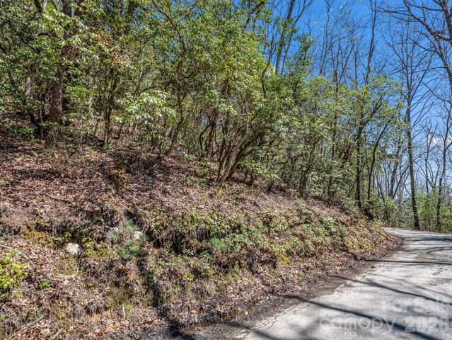 999 Bulling Creek Drive, Hendersonville, NC 28739