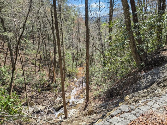 999 Bulling Creek Drive, Hendersonville, NC 28739