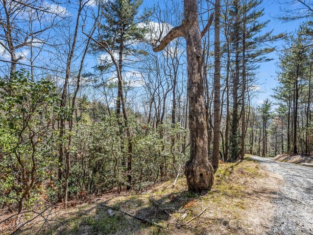 999 Bulling Creek Drive, Hendersonville, NC 28739