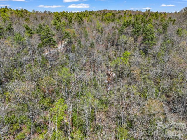 999 Bulling Creek Drive, Hendersonville, NC 28739