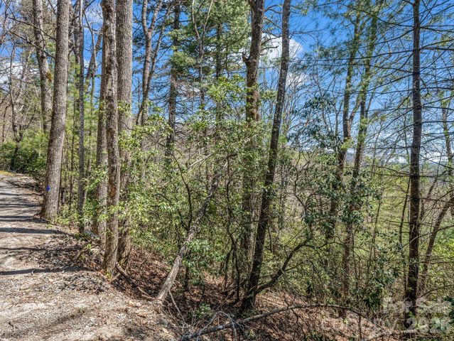 999 Bulling Creek Drive, Hendersonville, NC 28739