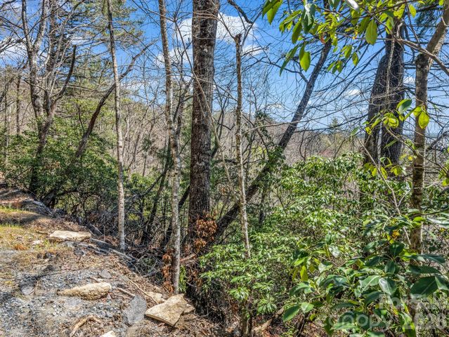 999 Bulling Creek Drive, Hendersonville, NC 28739