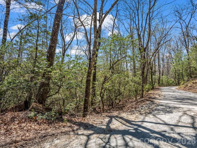 999 Bulling Creek Drive, Hendersonville, NC 28739