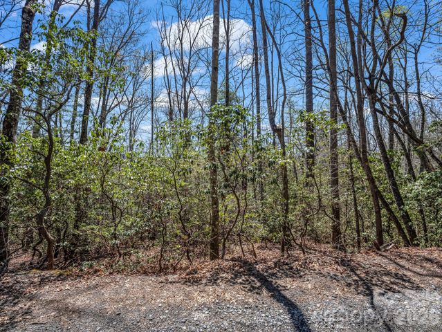 999 Bulling Creek Drive, Hendersonville, NC 28739