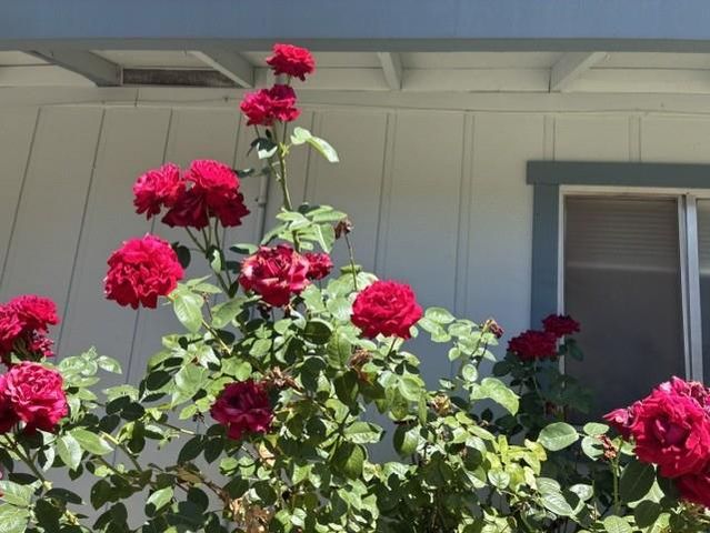 4021 Bright Ct, Placerville, CA 95667