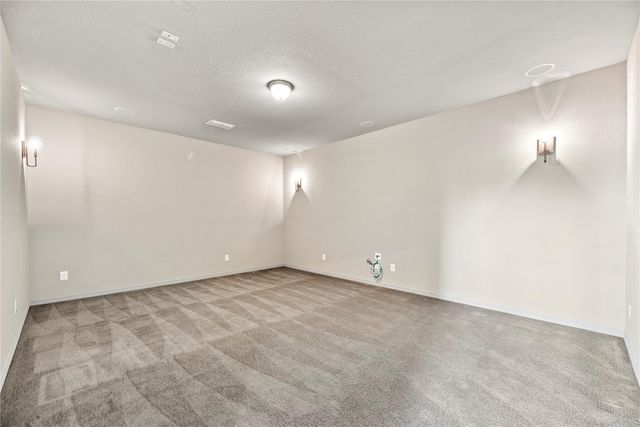 28410 Vineyard Terrace Lane, Fulshear, TX 77441