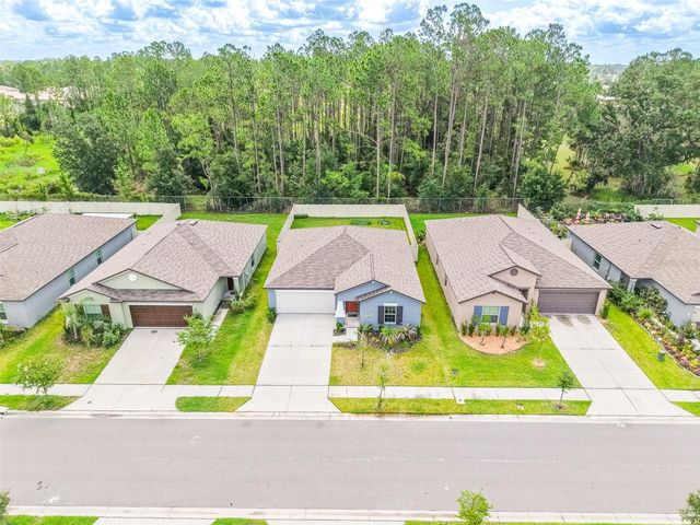 1863 YELLOW TRAIL, Lakeland, FL 33801