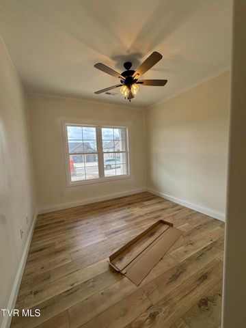 3073 Sawgrass Drive, Jonesborough, TN 37659