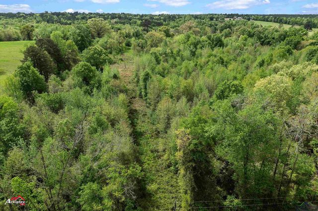 8578 Silver Spruce Rd, Gilmer, TX 75645