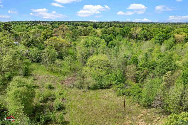 8578 Silver Spruce Rd, Gilmer, TX 75645