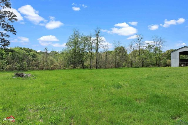 8578 Silver Spruce Rd, Gilmer, TX 75645