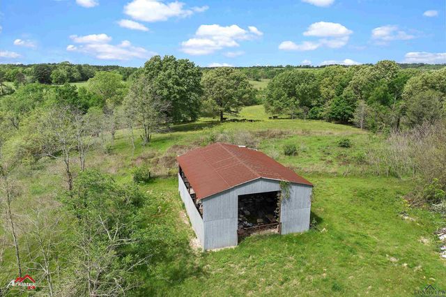 8578 Silver Spruce Rd, Gilmer, TX 75645