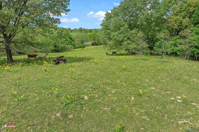 8578 Silver Spruce Rd, Gilmer, TX 75645