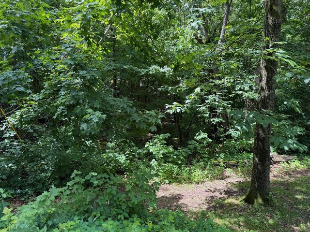 59710 M-51, Dowagiac, MI 49047