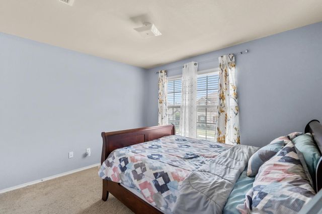 3006 Buckthorn Street, Heartland, TX 75126