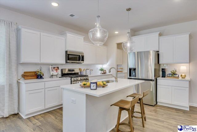 2213 Pandora's Path, Timmonsville, SC 29161